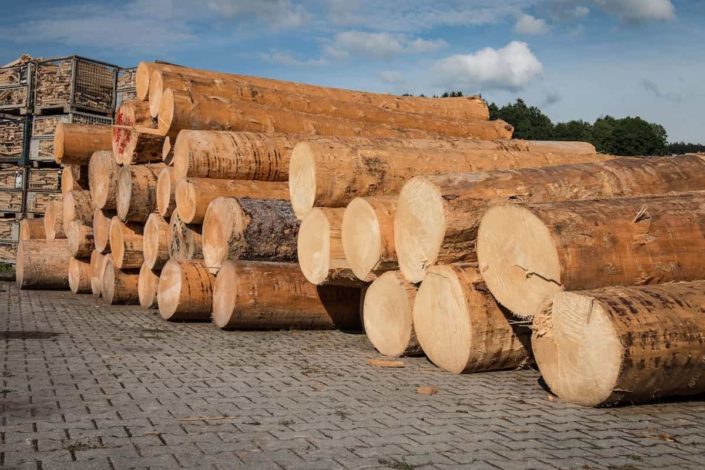 Sägewerk Winkler Leistungen